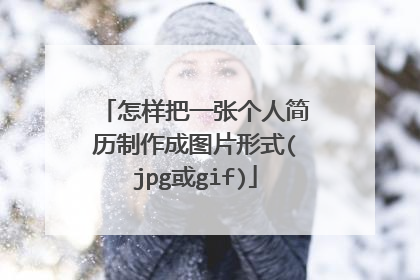 怎样把一张个人简历制作成图片形式(jpg或gif)