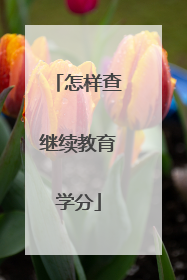 怎样查继续教育学分