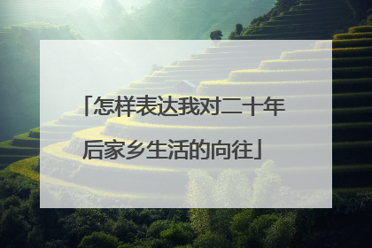 怎样表达我对二十年后家乡生活的向往