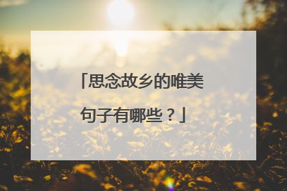 思念故乡的唯美句子有哪些？