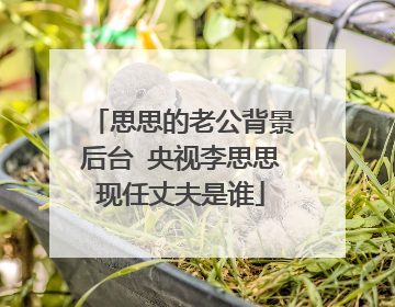 思思的老公背景后台 央视李思思现任丈夫是谁