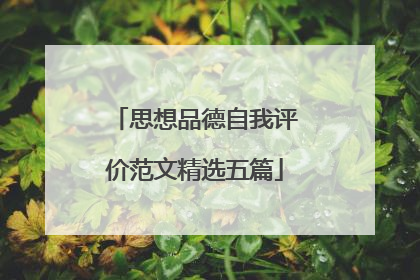 思想品德自我评价范文精选五篇