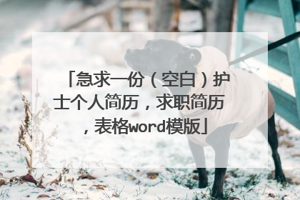 急求一份(空白)护士个人简历,求职简历,表格word模版