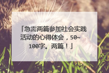 急需两篇参加社会实践活动的心得体会，50~100字。两篇！