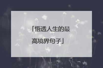 悟透人生的最高境界句子