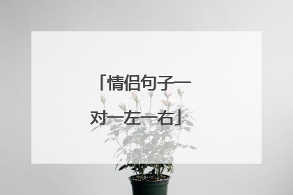 情侣句子一对一左一右