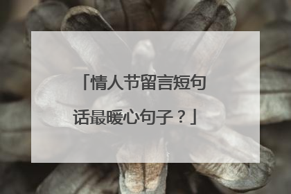 情人节留言短句话最暖心句子?