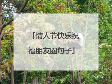 情人节快乐祝福朋友圈句子