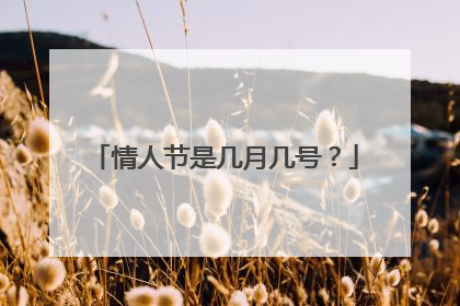 情人节是几月几号？