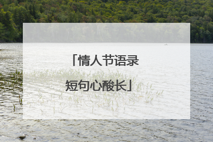 情人节语录短句心酸长