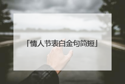 情人节表白金句简短