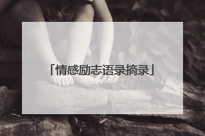 情感励志语录摘录