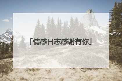 情感日志感谢有你