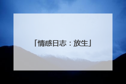 情感日志：放生