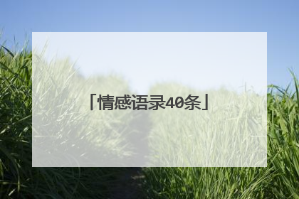 情感语录40条