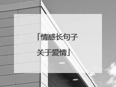 情感长句子关于爱情