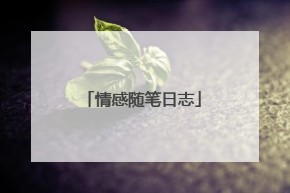 情感随笔日志