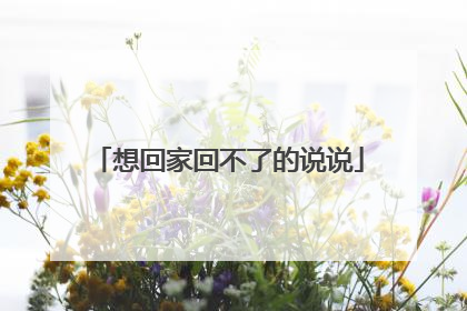 想回家回不了的说说