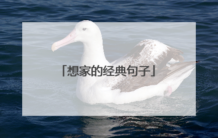 想家的经典句子