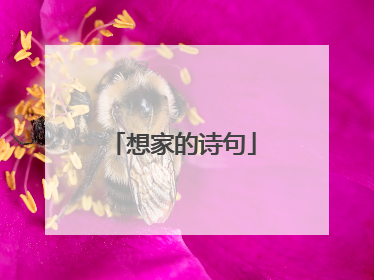 想家的诗句