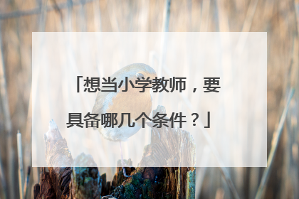 想当小学教师，要具备哪几个条件？