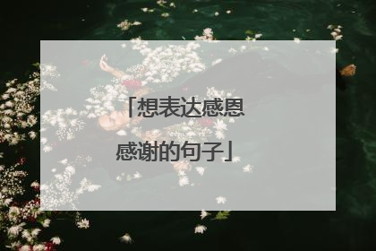 想表达感恩感谢的句子