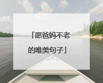 愿爸妈不老的唯美句子