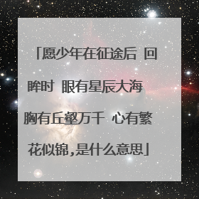 愿少年在征途后 回眸时 眼有星辰大海 胸有丘壑万千 心有繁花似锦,是什么意思