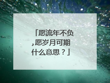 愿流年不负,愿岁月可期什么意思？