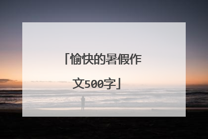 愉快的暑假作文500字