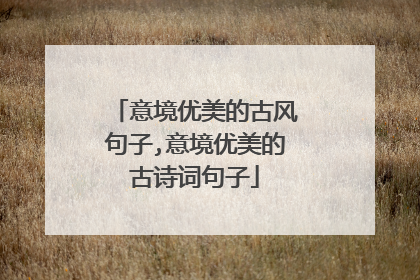 意境优美的古风句子,意境优美的古诗词句子