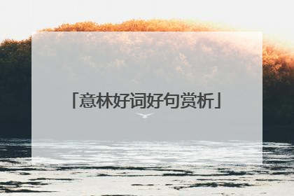 意林好词好句赏析