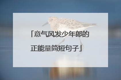 意气风发少年郎的正能量简短句子