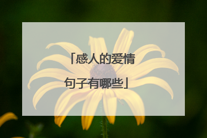 感人的爱情句子有哪些