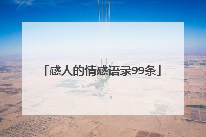 感人的情感语录99条