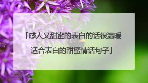 感人又甜蜜的表白的话很温暖 适合表白的甜蜜情话句子