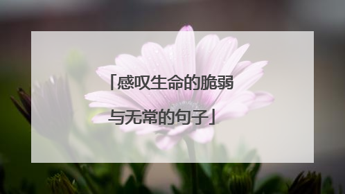 感叹生命的脆弱与无常的句子