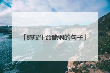 感叹生命脆弱的句子