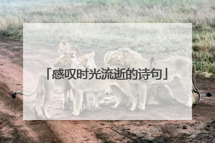 感叹时光流逝的诗句