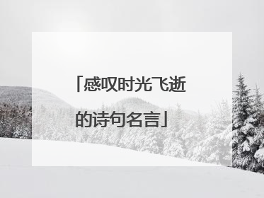 感叹时光飞逝的诗句名言