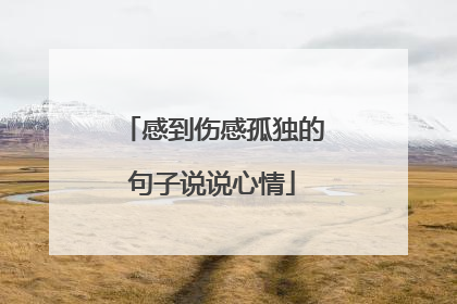 感到伤感孤独的句子说说心情