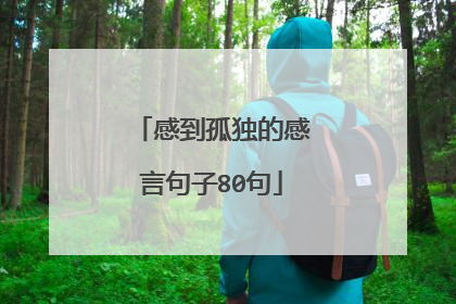 感到孤独的感言句子80句