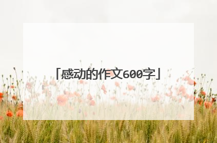 感动的作文600字