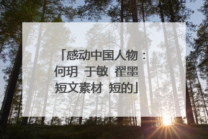 感动中国人物:何玥 于敏 翟墨短文素材 短的