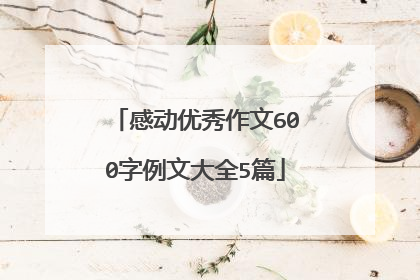 感动优秀作文600字例文大全5篇