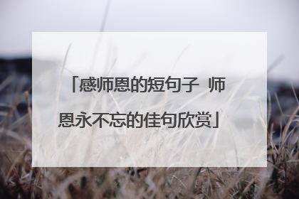 感师恩的短句子 师恩永不忘的佳句欣赏