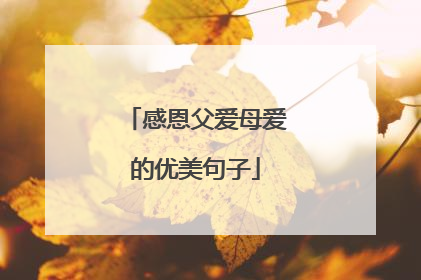感恩父爱母爱的优美句子