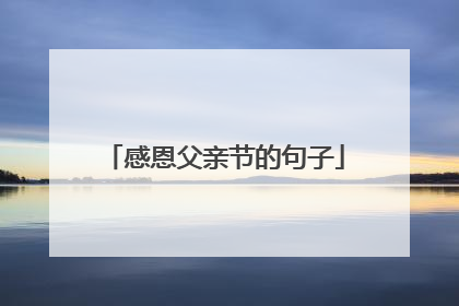 感恩父亲节的句子