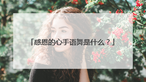 感恩的心手语舞是什么?