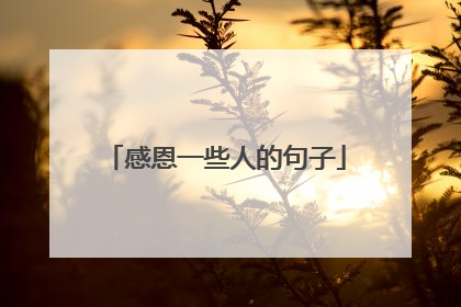 感恩一些人的句子